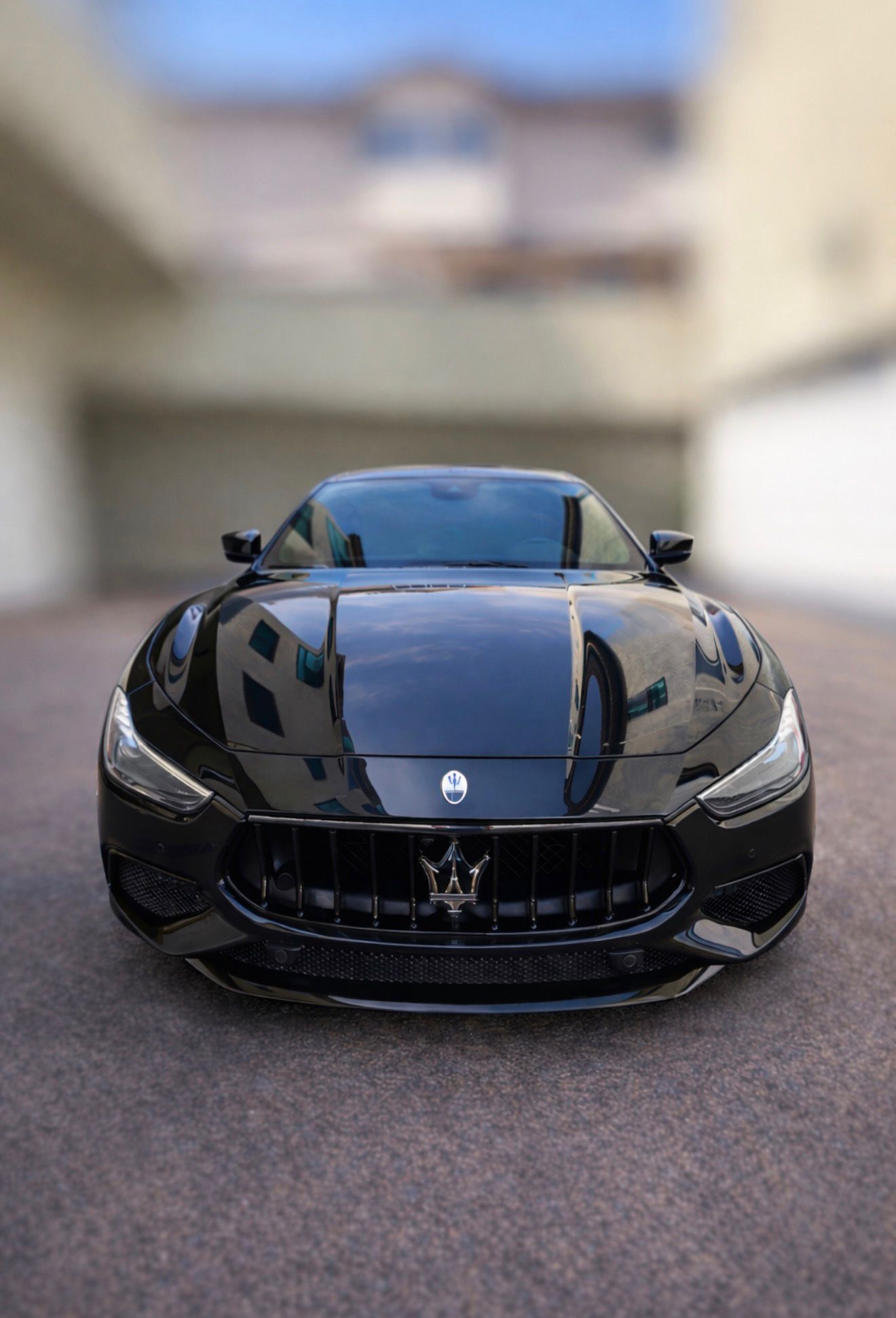 WhatsApp Image 2026-02-06 at 2.18.49 PM